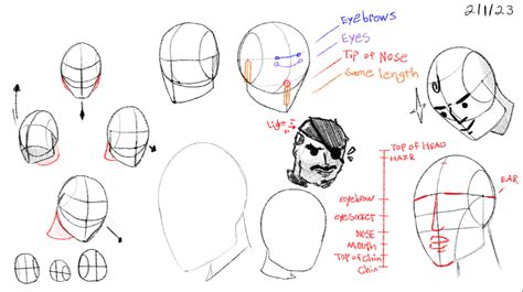 Head Anatomy Study #1 by Lottis333 on DeviantArt