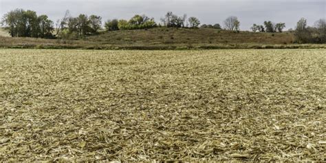 Crop Residue Management: Importance, Benefits, And Hurdles