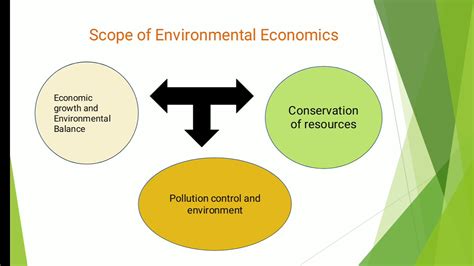 Introduction To Environmental Economics Youtube