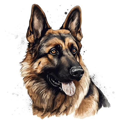 Premium Photo A Watercolor Painting Of A German Shepherd Dog