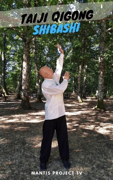 Shibashi Scheda Tecnica Mantis Qi Gong