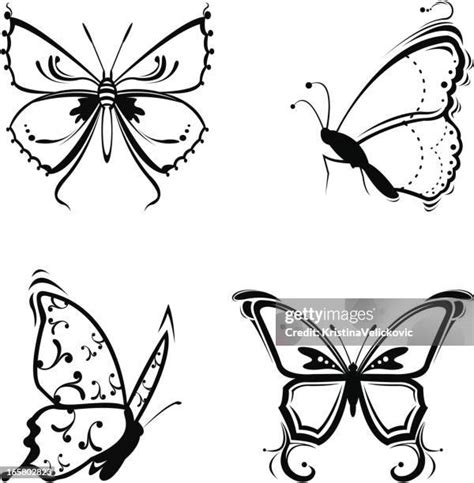 Butterfly Silhouette Tattoo Photos and Premium High Res Pictures ...