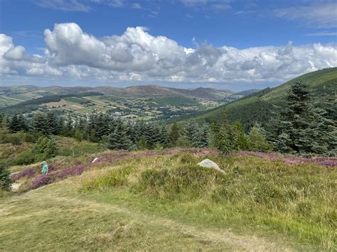 Kilbroney Park Rostrevor Forest Warrenpoint And Derrymore Wednesday