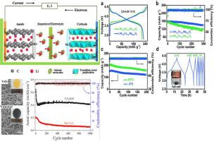 锂离子电池金属氧化物涂层正极材料综述 Journal of Alloys and Compounds X MOL