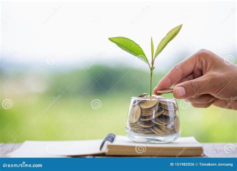 Hand Giving A Coin To A Tree Growing From Pile Of Coinsplant Growing