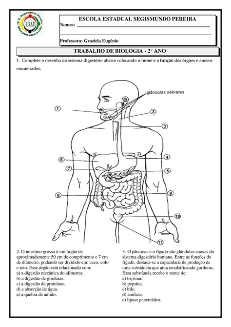 Exercícios Sistema Digestório Gabarito Pdf FDPLEARN