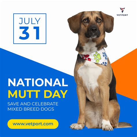 National Mutt Day | National mutt day, Mixed breed dogs, Veterinary