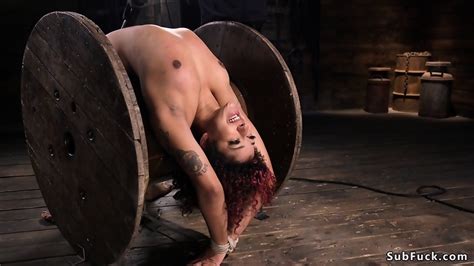 Big Ass Ebony Hogtied And Whipped