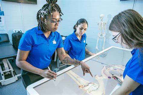 UWF Students Explore The Human Body With New High Tech Virtual