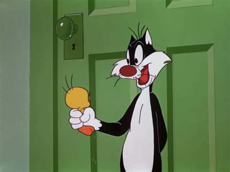 Download Sylvester The Cat Pictures 1560 X 1170