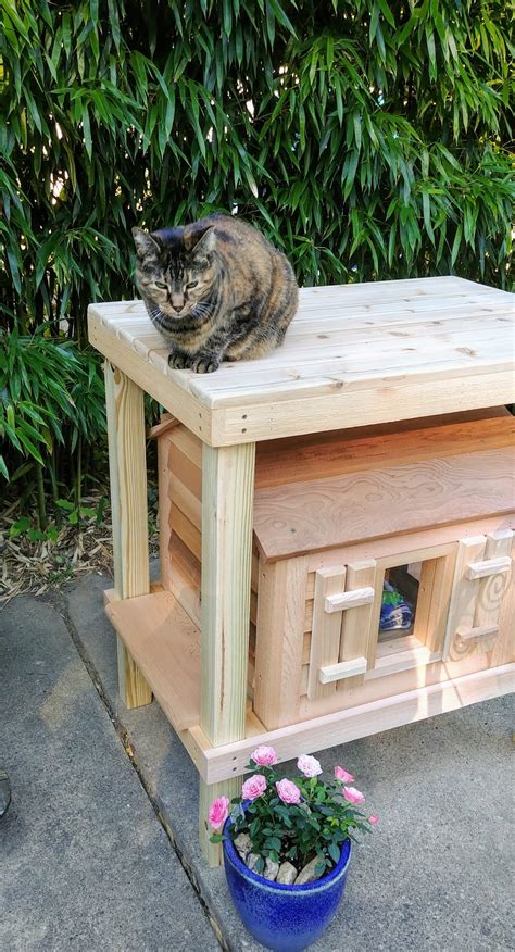 20” Cat House With Platform And Loft Custom Dog And Cat Houses By