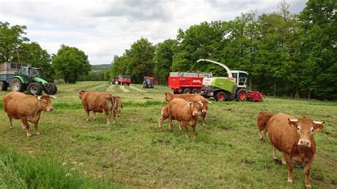 Bac Pro Agriculture