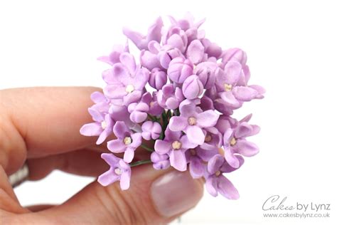 How To Make Gumpaste Lilacs The Perfect Filler Flowers Cakes By Lynz