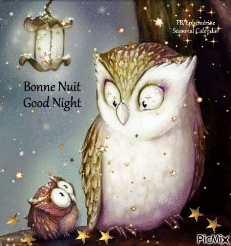 Owls Starry Good Night Gif Pictures, Photos, and Images for Facebook ...