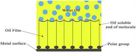 Schematic Figure Of The Film Formed By Corrosion Inhibitor Reprinted