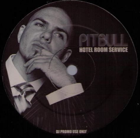 Pitbull – Hotel Room Service (2009, Vinyl) - Discogs