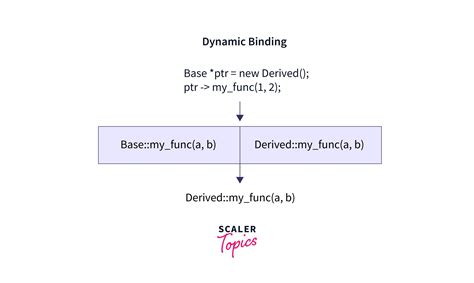 What Are Static Binding And Dynamic Binding In C Scaler Topics