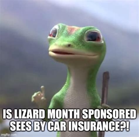 Geico Gecko Imgflip