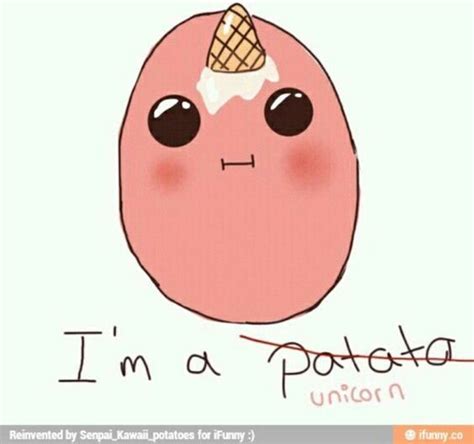 I Am Unicorn Ok¡¡¡ Kawaii Potato Potato Funny Unicorn Memes