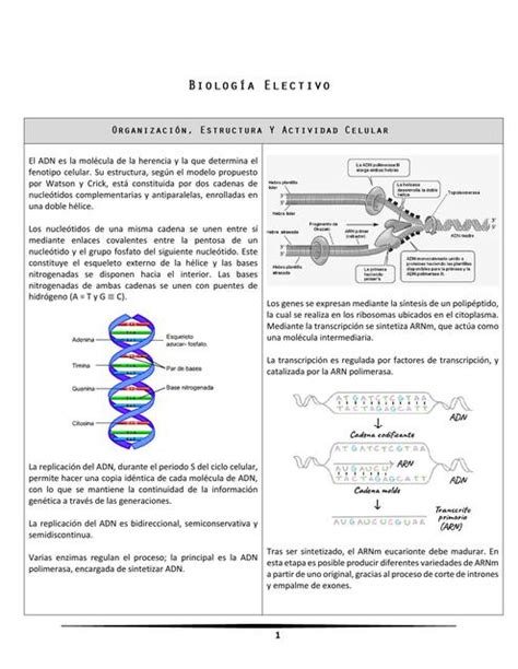 Biolog A Electivo Jocheeeu Udocz