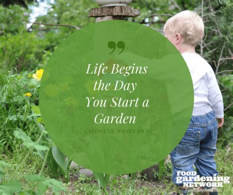 60 Inspirational Quotes About Gardening Food Gardening Network