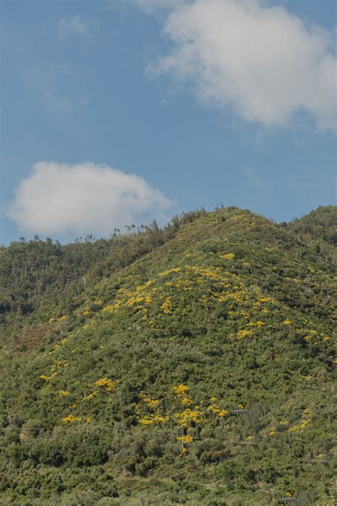 22 Very Lovely Corniglia Photos - There She Goes Again