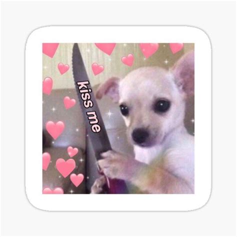 "Kiss Me Dog Meme " Sticker for Sale by GeKrayr | Dog memes, Meme stickers, Memes