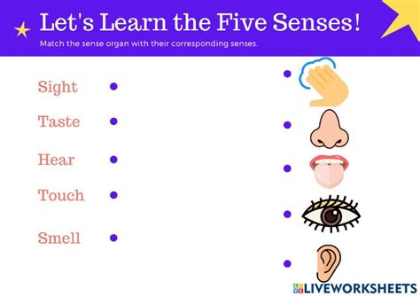 Sense Organs Online Pdf Activity Live Worksheets