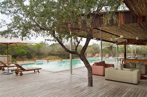 Kruger Safari Lodge: A Family-Friendly Tented Escape in The Greater Kruger