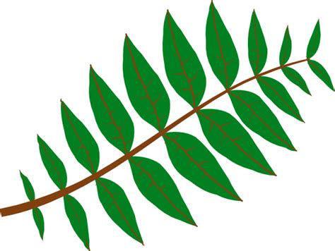 Jungle Leaf Outline - ClipArt Best