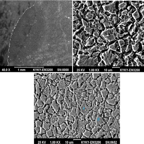 Xrd Results Of Fecocrnialti X High Entropy Alloy Hea Coatings