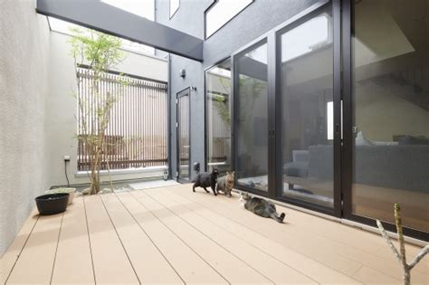 猫と暮らす中庭のある家｜注文住宅の建築実例・事例｜ポラスグループ