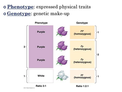 Chapter 9 Heredity Ap Biology Exam Review Ppt Download