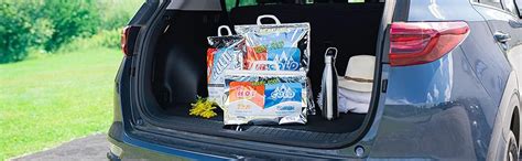 Superio Hot And Cold Reusable Insulated Bag 12x13 5 Small Meal Size Refrigerated Tote For