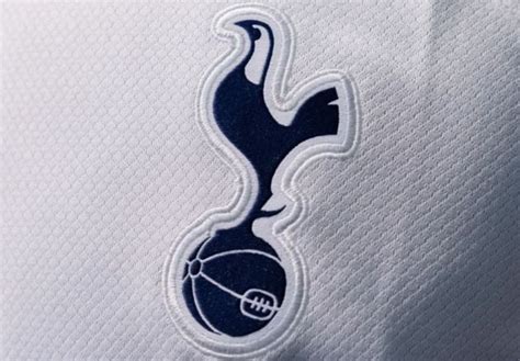 Blow For Tottenham Summer Signing Taken Off Injured During League Cup