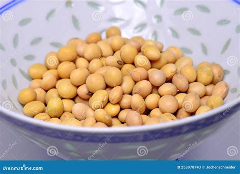 Chinese Yellow Soybeans In A Closeup Stock Image Image Of Soybeans