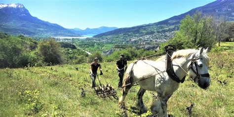 Nouvelle Vie Dans Les Hautes Alpes Vivre Et Travailler La Montagne