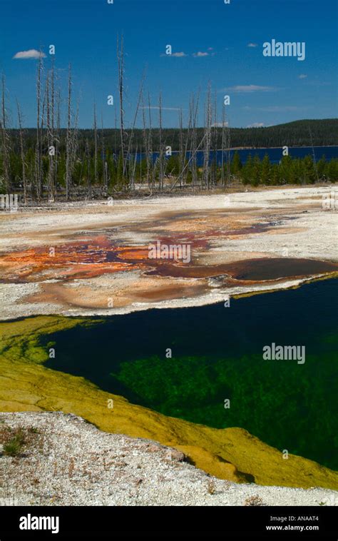 Abyss Pool Hot Spring With Yellowstone Lake In Background At West Thumb