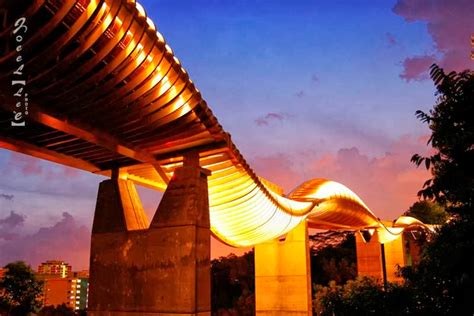 Henderson Waves Bridge, Singapore