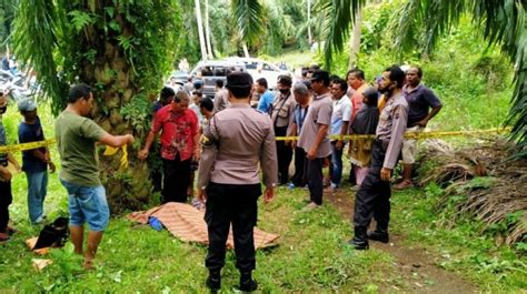 ASN Di Pasaman Barat Ditemukan Tewas Di Kebun Sawit