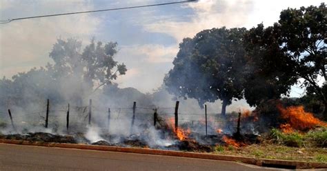 G1 Incêndio atinge terreno baldio há dois dias em Campo Grande