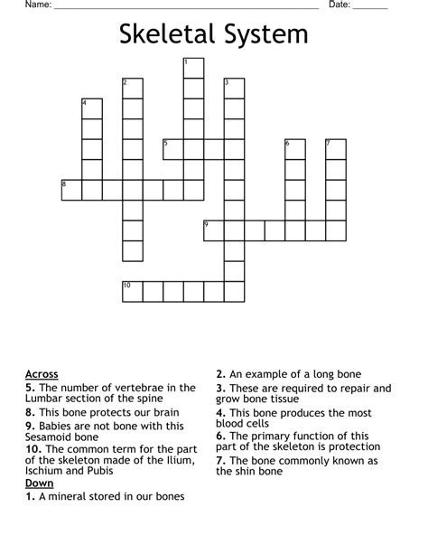 Skeletal System Crossword Wordmint