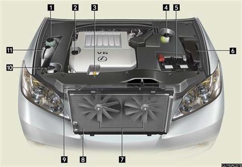 Engine Compartment Do It Yourself Maintenance Maintenance And Care