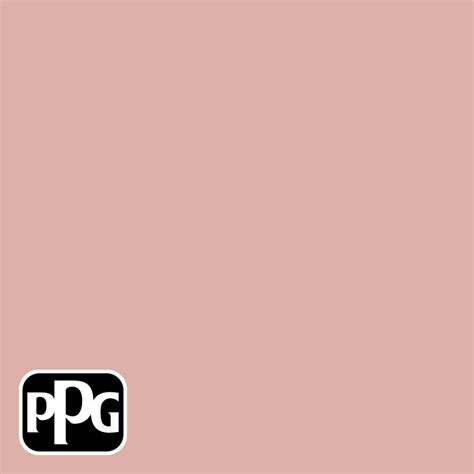 Ppg Speedhide Pro Ev Zero Gal Ppg Mesa Pink Semi Gloss