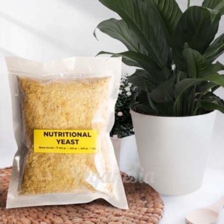 Jual Nutritional Yeast MPASI Bayi Original Organik 100gr Murah