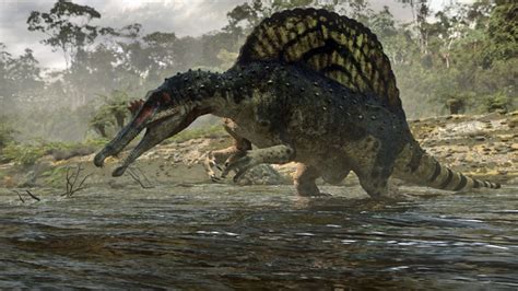 BBC BBC Earth Spinosaurus Fishes For Prey Planet Dinosaur