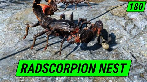 Huge Radscorpion Nest Fallout 4 Unmarked Ep 180 YouTube