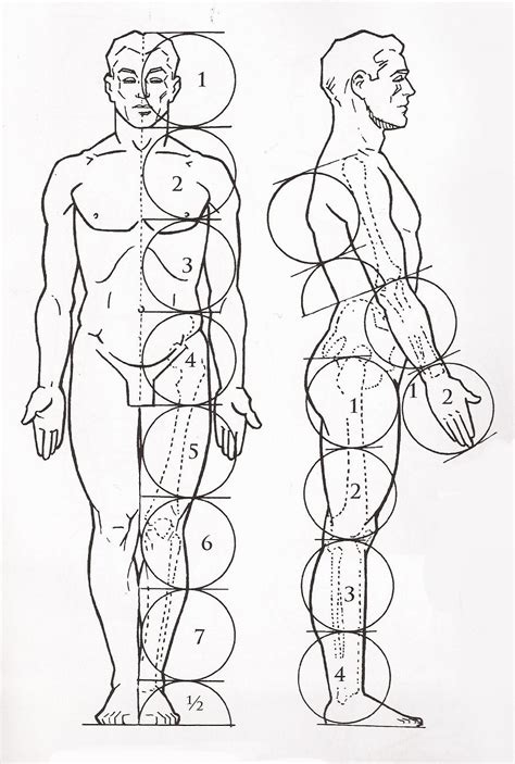 Desenhos Corpo Humano