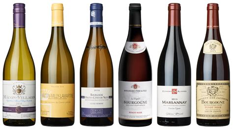 Wine review: the best Burgundy bottles to buy | The Sunday Times