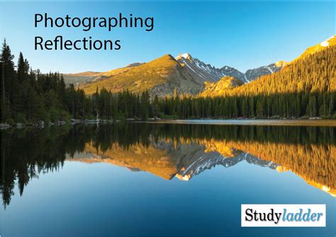 Reflections Photography 7slides Studyladder Interactive Learning Games